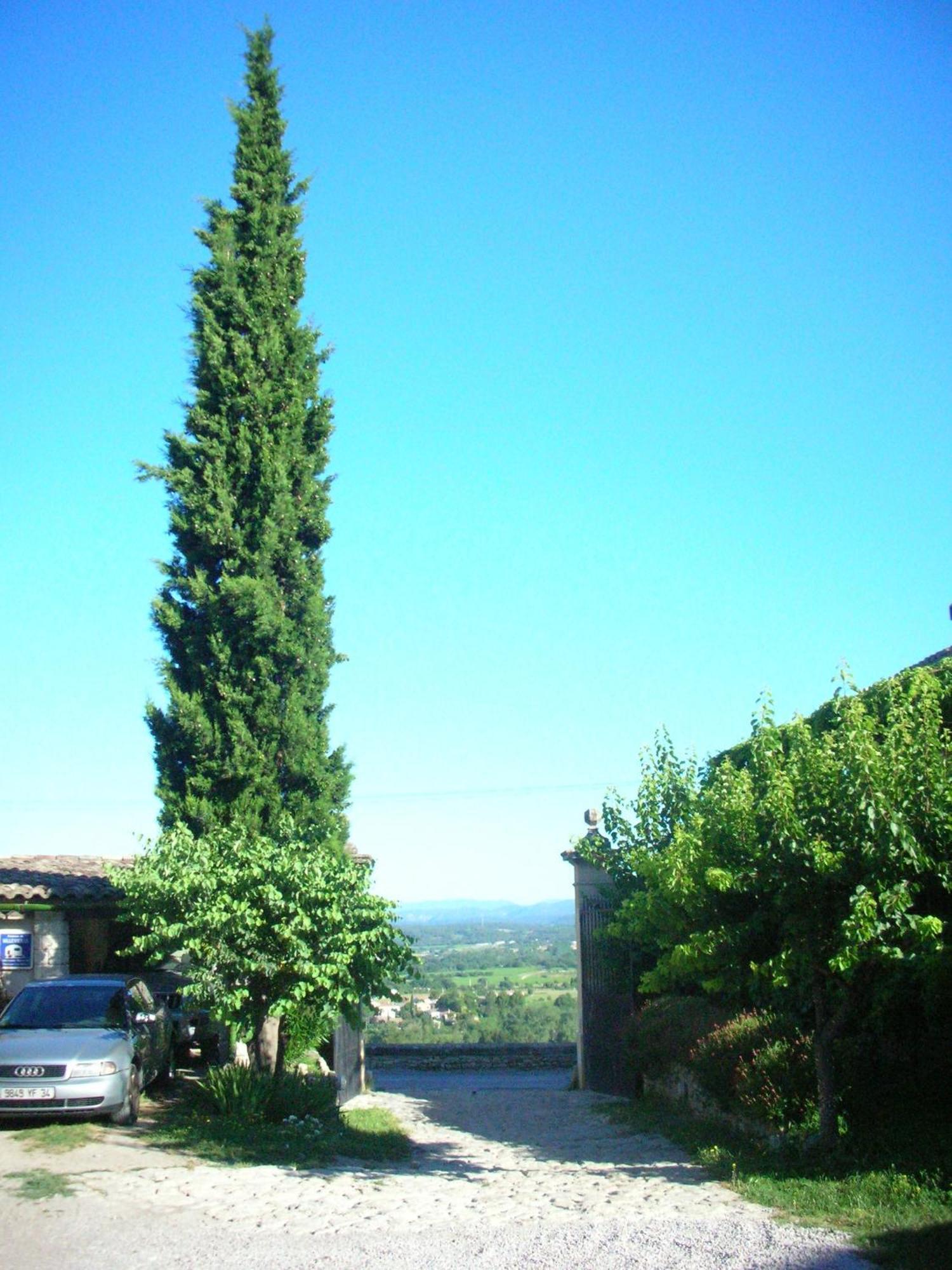 Bed and Breakfast La Migrane Villevieille Exterior foto