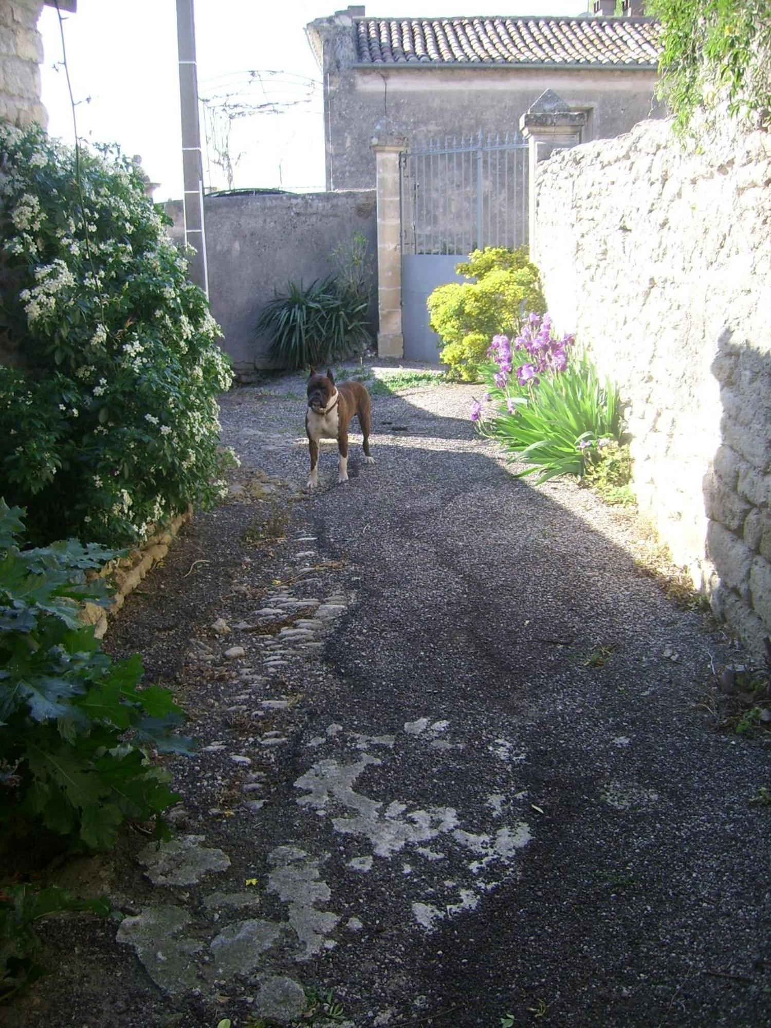 Bed and Breakfast La Migrane Villevieille Exterior foto